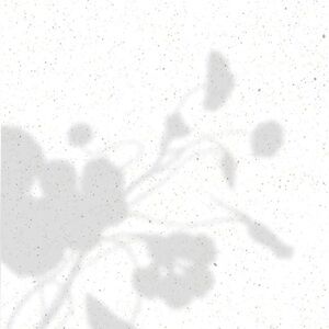 ✨✨Thanks for stopping by!✨✨